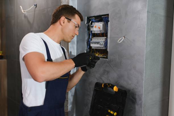 Best Electrical System Inspection  in Palm Harbor, FL