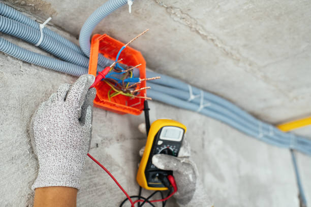 Best Emergency Electrical Repair  in Palm Harbor, FL